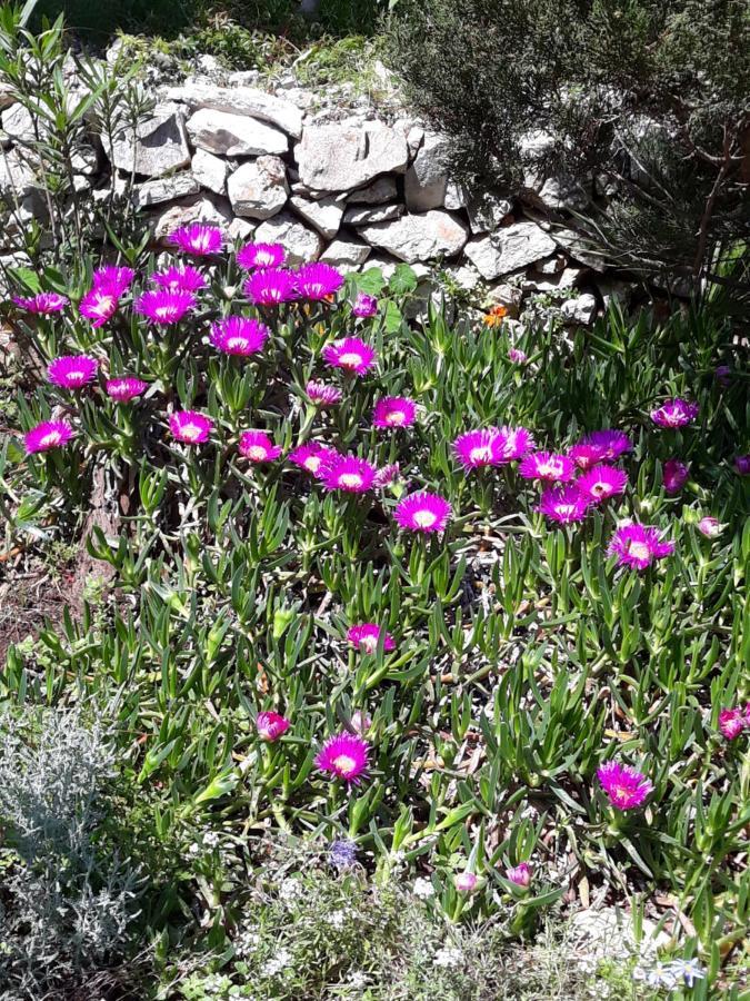 Holiday Home Villa Esperanca Veli Lošinj Extérieur photo